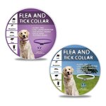 Ningbo cute pet cosmetics co.,ltd