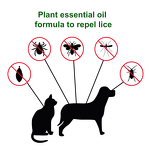 Pet Collar Manufacturer - Nature Safe Waterproof Adjustable Flea Tick