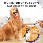 Pet Calming Collar Supplier - Reducing Anxiety Long Lasting Protection