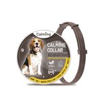 Dog Calming Collar Manufacturer - Ready to Ship for Outdoor Activities