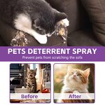 Cat Repellent Spray Manufacturer - Natural Indoor Outdoor Anti-Scratch Training