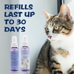 Pet Calming Spray Manufacturer - OEM 48ml Herbal Ingredient Stress Aid