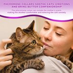 Cat Calming Collar Manufacturer - OEM Adjustable Waterproof 30-Day Relief