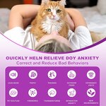Cat Calming Collar Supplier - OEM Pheromone-Infused Quick Release Adjustable