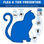 Cat Flea Treatment Supplier - OEM Fast Acting Topical Drops Online
