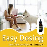 Pet Hemp Seed Oil Factory - for Dogs Cats Joint Skin Anxiety Support