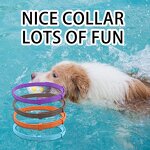 Cat Calming Collar Supplier - Reducing Cat Anxiety Long Lasting Protection