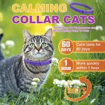 Cat Calming Collar Supplier - OEM Pheromone-Infused Quick Release Adjustable