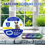 Pet Collar Supplier - Natural Formula Anti-Flea Tick Mosquito Silicone