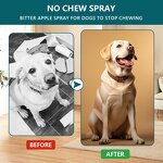 Pet Deterrent Spray Manufacturer - Safe Indoor Outdoor Natural Training Aid