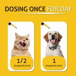 Pet Hemp Oil Factory - Omega Fatty Acids Drops for Hip Joint Skin