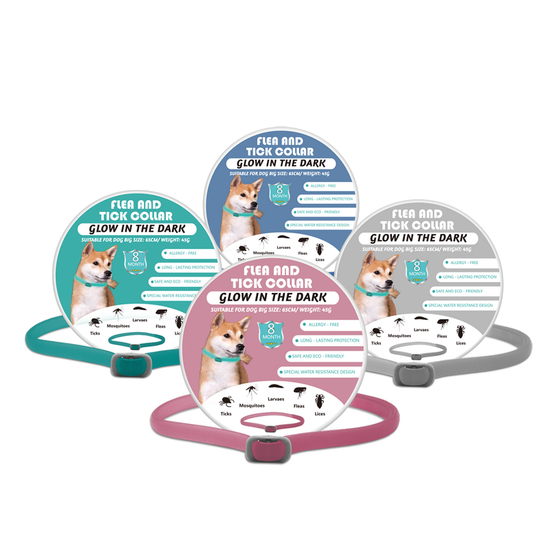 Dog Collar Manufacturer - Custom Multicolor Silicone Waterproof Luminous