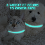 Dog Collar Factory - Light Up Glow Collar Weatherproof 4 Colors