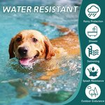 Flea & Tick Collar Supplier - Factory Direct 4 Pc Pack Soft Fashion