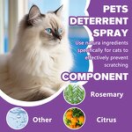Cat Deterrent Spray Factory - Natural Repellent for Furniture Safe Indoor