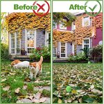 Cat Deterrent Ball Supplier - 10 Pack Natural Peppermint Oil Yard Guard