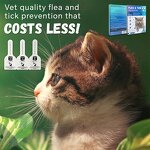Cat Flea Treatment Manufacturer - OEM Fast Acting Topical Drops Online