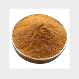 Melissa Officinalis Extract Manufacturer - Plant Derived Herbal Supplement