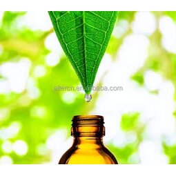 Birch Anise Essential Oil Manufacturer - Pure Natural High Quality Plant Oil