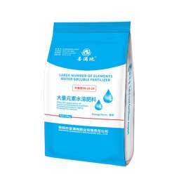 NPK 20 20 20 Fertilizer Manufacturer - Powder Water-soluble Customized