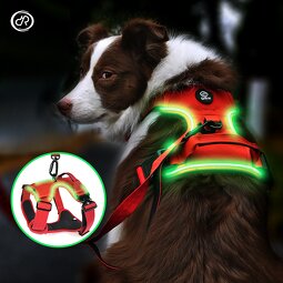 LED Dog Harness Manufacturer - Light Breathable Heavy Duty Custom Reflective QR Code