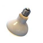 Reptile Heat Lamp Bulb Manufacturer - DRH Custom E27 UVA Basking Spotlight