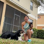 Dog Training Collar with Remote Manufacturer - Waterproof IP67 Auto Tension Sensing