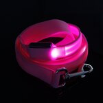 USB Rechargeable LED Dog Leash Manufacturer - Custom Logo Night Walking Glowing