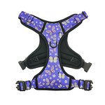 Printed Dog Harness Set Manufacturer - No Pull Personalized Pet Accessories