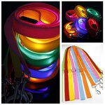 USB Rechargeable LED Dog Leash Manufacturer - Custom Logo Night Walking Glowing