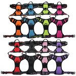 No Pull Dog Harness Set Manufacturer - Hot Sale Reflective Tough Adjustable Training