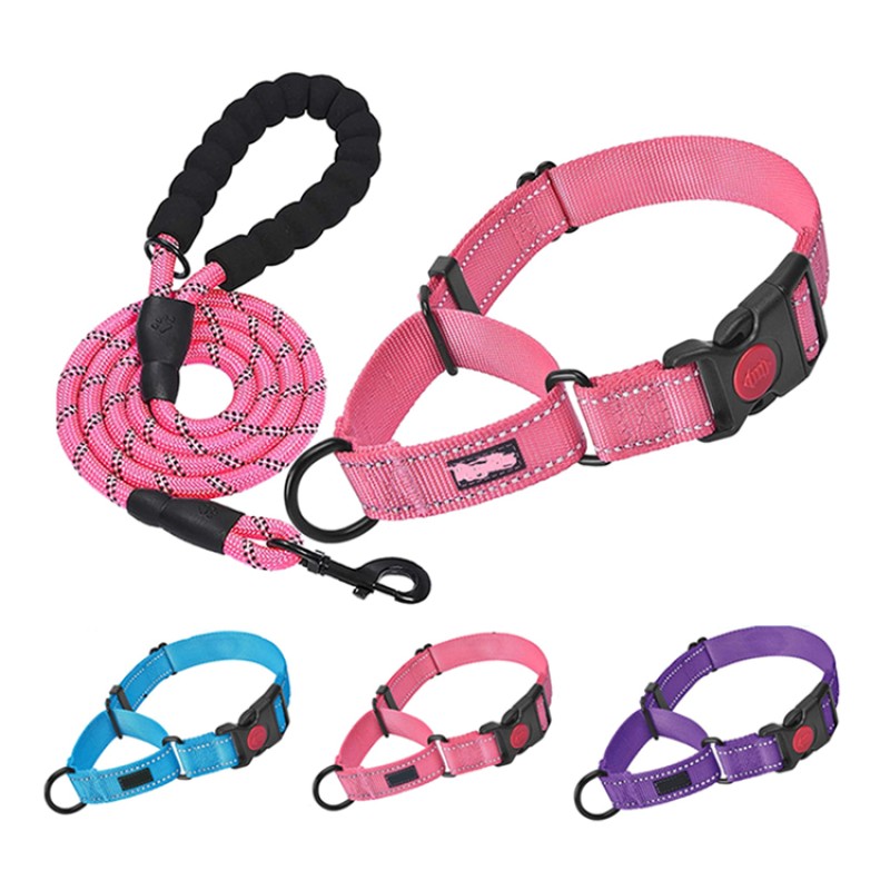 Martingale Dog Collar Set Manufacturer - OEM/ODM Reflective Polyester Nylon 2 Inch