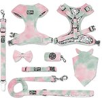 Personalized Dog Harness and Leash Manufacturer - Customized Logo and Pattern