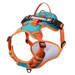 Reflective Dog Harness Set Manufacturer - Outer Breaking Free Leash for All Sizes