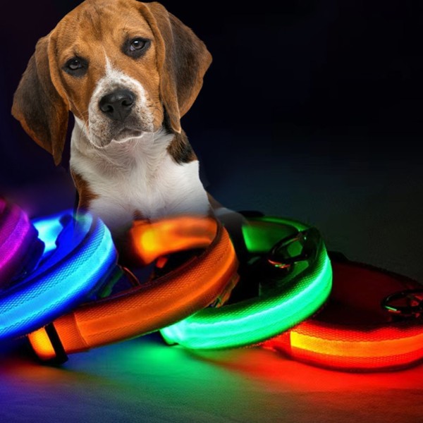 Heart Tennis Dog Collar Manufacturer - Premium Features Sterling Silver Free Sample