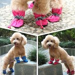Pet Sport Shoes Manufacturer - Cheap Water Resistant Warm for Cats and Dogs