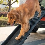Pet Folding Stairs Ramp Manufacturer - Hot Sale Plastic Ladder Ramps Adjustable