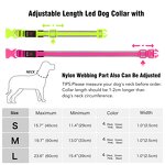 LED Dog Collar Manufacturer - USB Rechargeable Light up Soft Mesh Safety