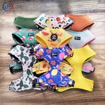 Dog Harness and Leash Set Manufacturer - Low MOQ OEM/ODM Custom Logo Printing