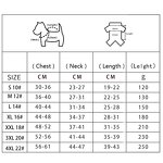 Dog Winter Hoodie Manufacturer - Wholesale Luxury Winter Clothes for Dogs