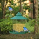 Window Bird Feeder Manufacturer - Plastic Green Hanging Hot Sale Viewing Birdhouse