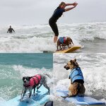 Dog Life Jacket Manufacturer - Reflective Adjustable Waterproof Safety Swimming