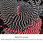 Reflective Round Rope Dog Leash Manufacturer - Hot Selling Cheap Price Premium Nylon