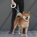Automatic Retractable Dog Leash Manufacturer - New Design LED Outdoor Training UFO