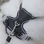 No Pull Dog Harness Set Manufacturer - Hot Sale Reflective Tough Adjustable Training