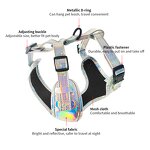 Reflective Dog Harness and Leash Set Manufacturer - Custom Logo Night Use