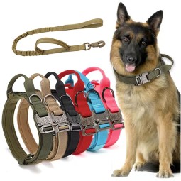 Cat Recovery Collar Manufacturer - Extra-Large Free Sample Training Tactical
