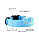 Airtag Dog Collar Manufacturer - Premium Quality Free Sample Training LED