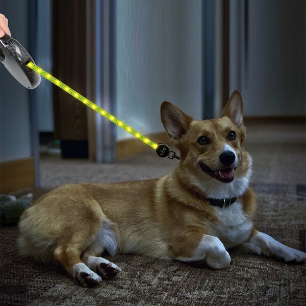 Automatic Retractable Dog Leash Manufacturer - Luxury PVC LED Illuminated Traction