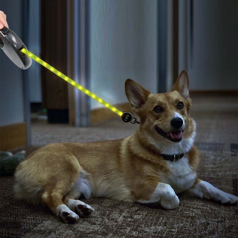 Automatic Retractable Dog Leash Manufacturer - Luxury PVC LED Illuminated Traction